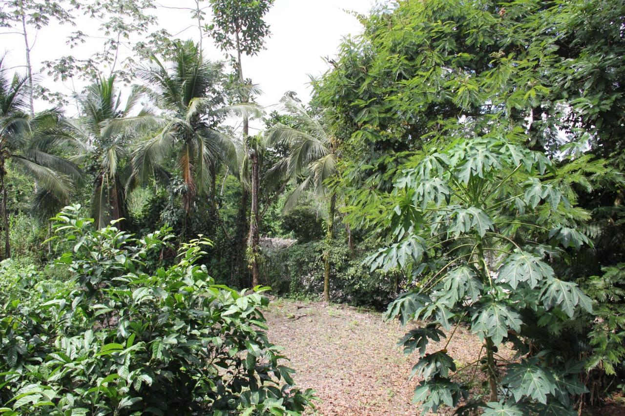 Horquetas River Lodge Sarapiquí Exterior foto