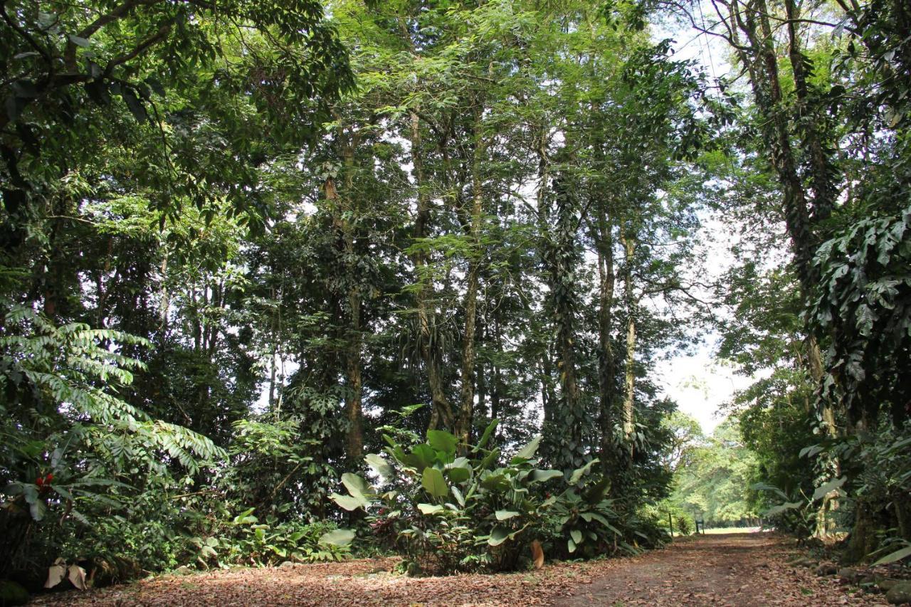 Horquetas River Lodge Sarapiquí Exterior foto