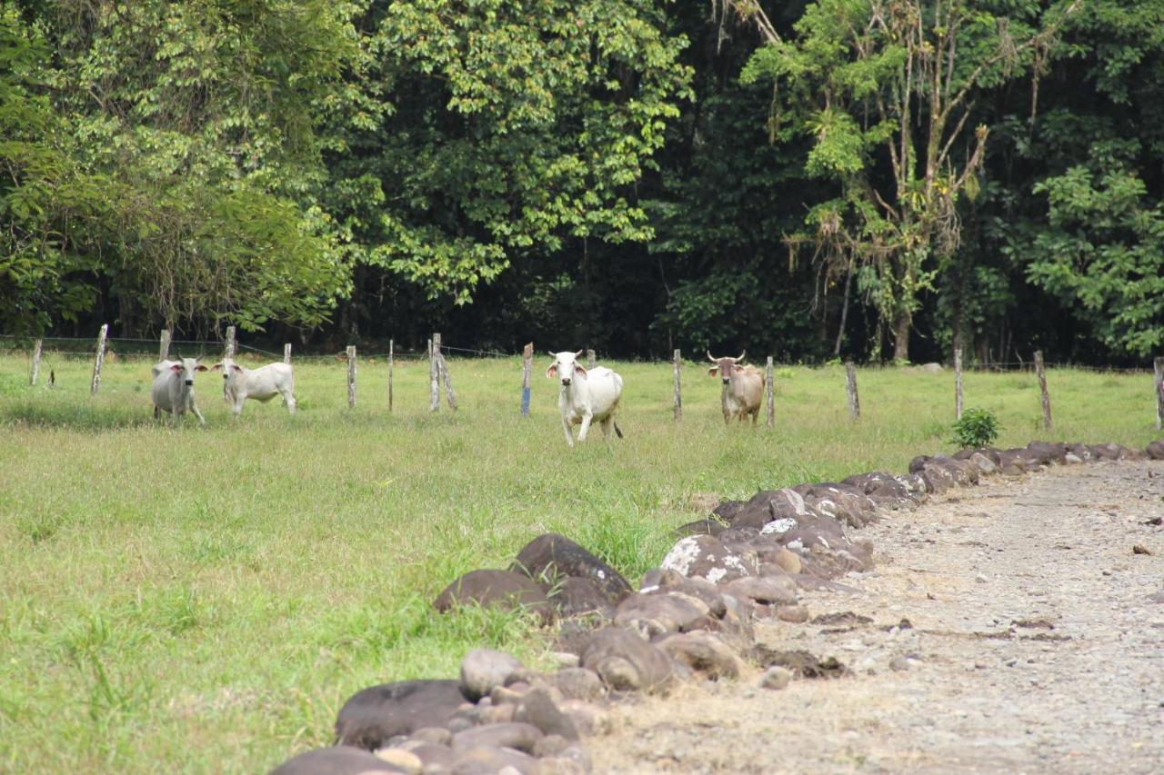 Horquetas River Lodge Sarapiquí Exterior foto
